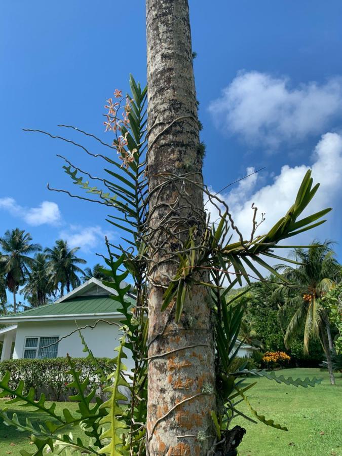 Chalets D'Anse Forbans Selfcatering Takamaka Екстер'єр фото